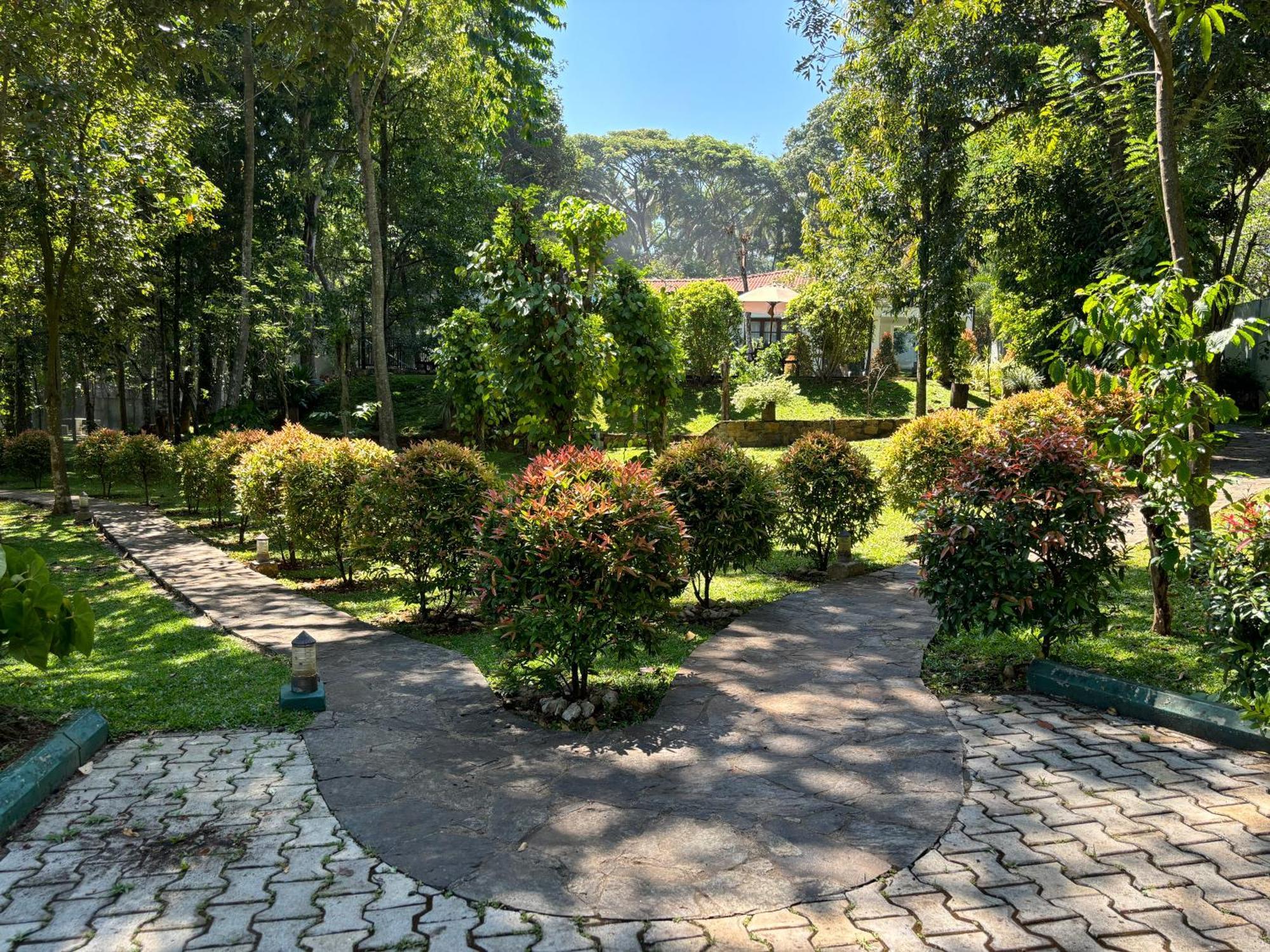 Serenity Villa Digana Kandy Exteriér fotografie